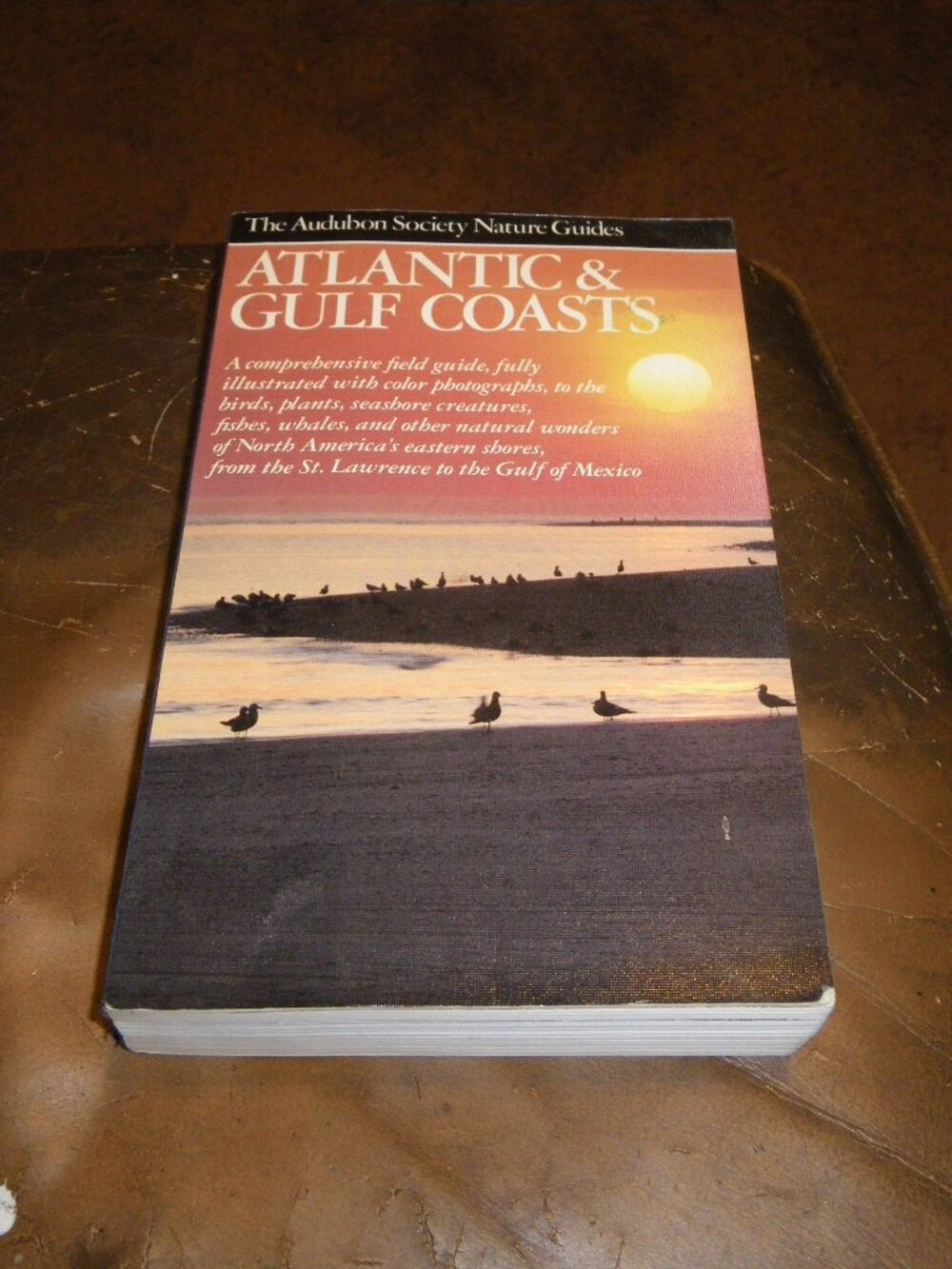 National Audubon Society Nature Guide to Atlantic & Gulf Coast Book 1st Print